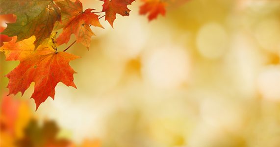 4 Reasons to Sell This Fall [INFOGRAPHIC]