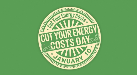 National Cut Your Energy Costs Day [INFOGRAPHIC]